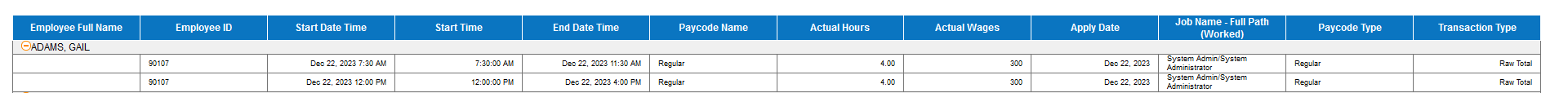 an example report with a group applied