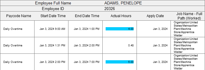 an example report with a section applied